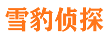 铜官山外遇出轨调查取证